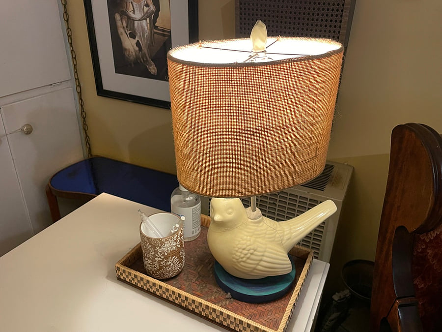 Cute lamp in corner of desk work area.