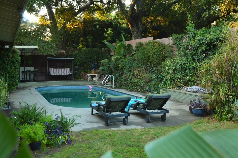 Pool area. 