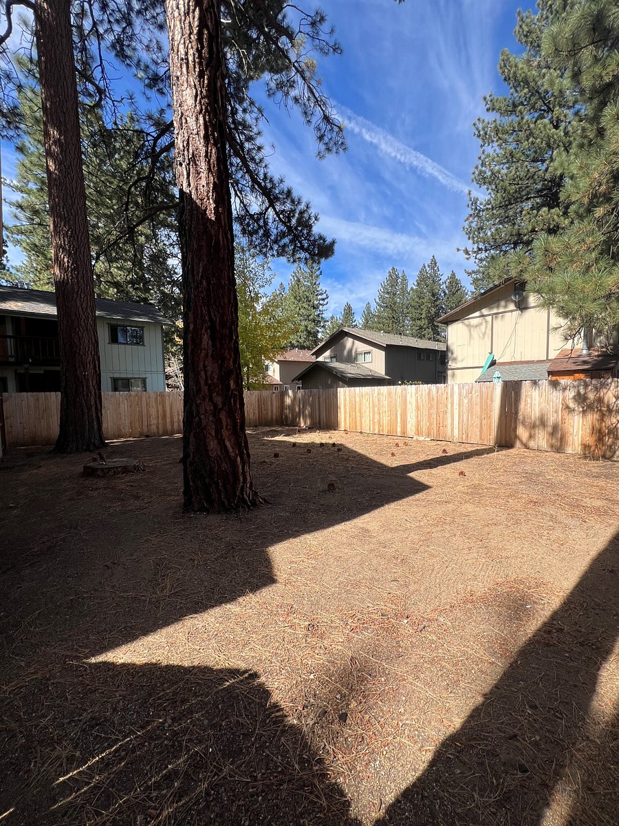 Fenced Backyard