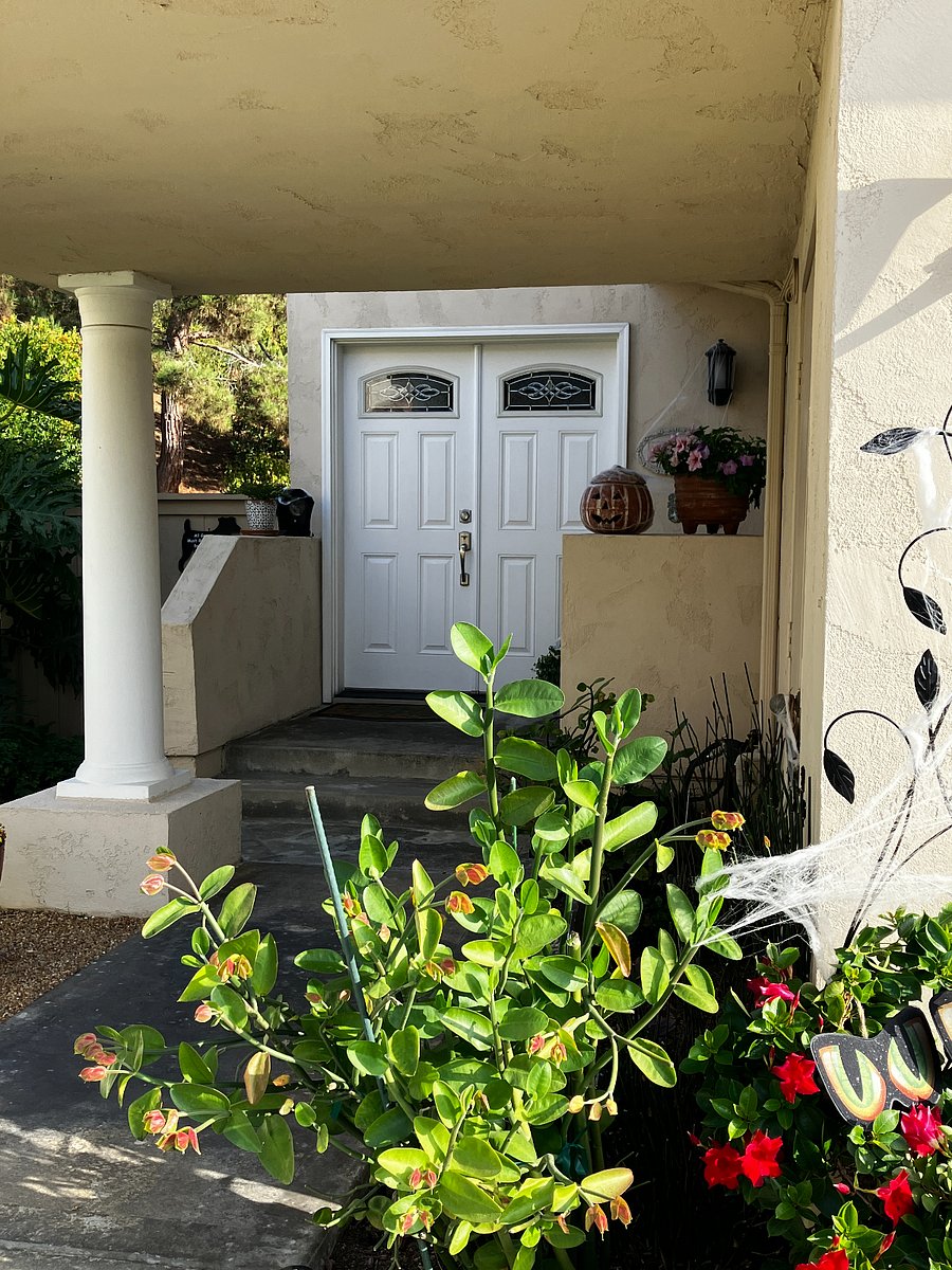 Furnished Finder property 759440_1 photo 17
