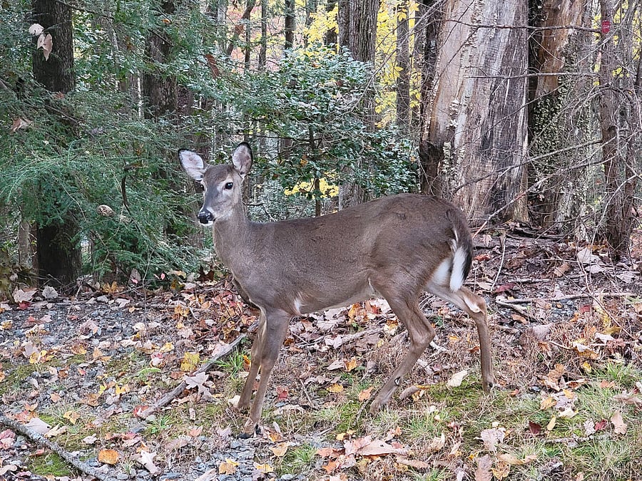 Furnished Finder property 759576_1 photo 9