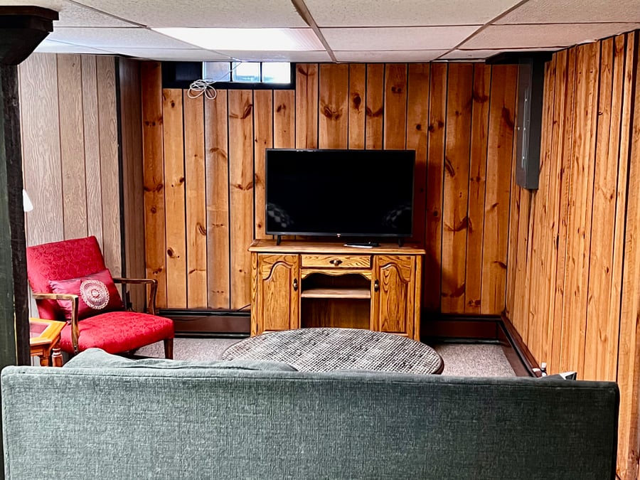 Lower level living room area.
