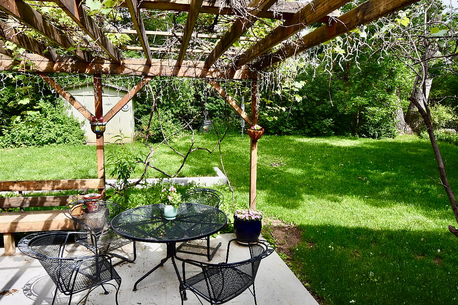 Backyard from patio door