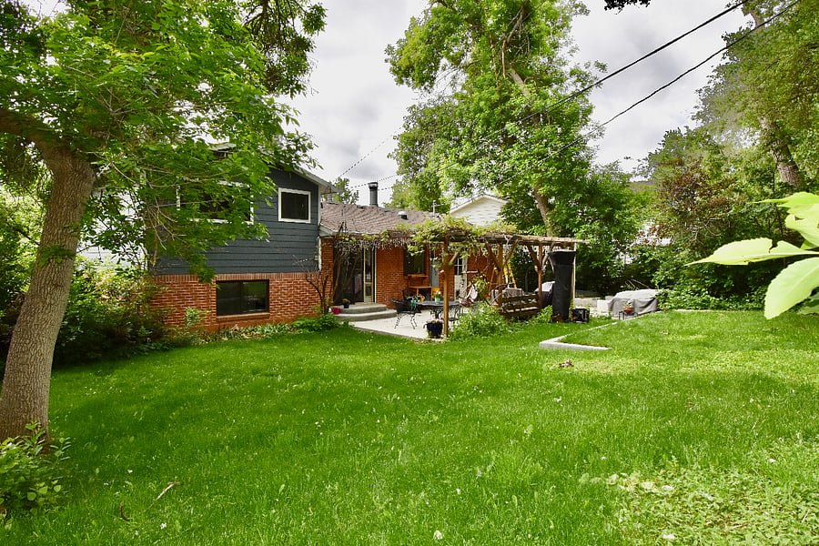 Backyard from farmer's ditch