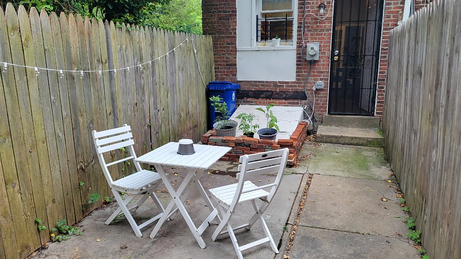 backyard