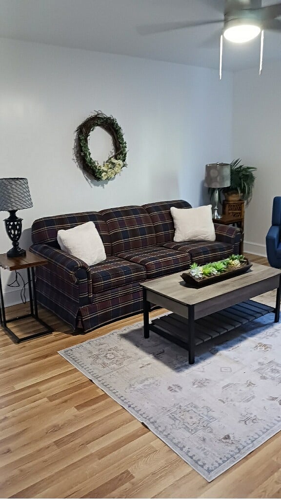 Living room couch