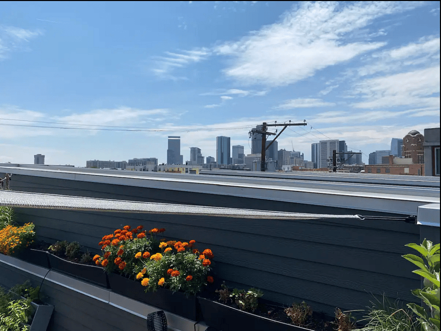 Views of downtown