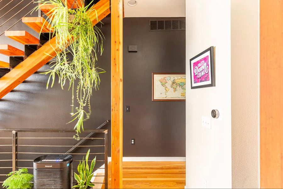 There's no lack of plants! Plus we have a HEPA air filter to help combat smoggy or smoky days in Denver.