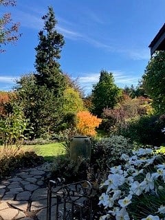 View of the property from your place
