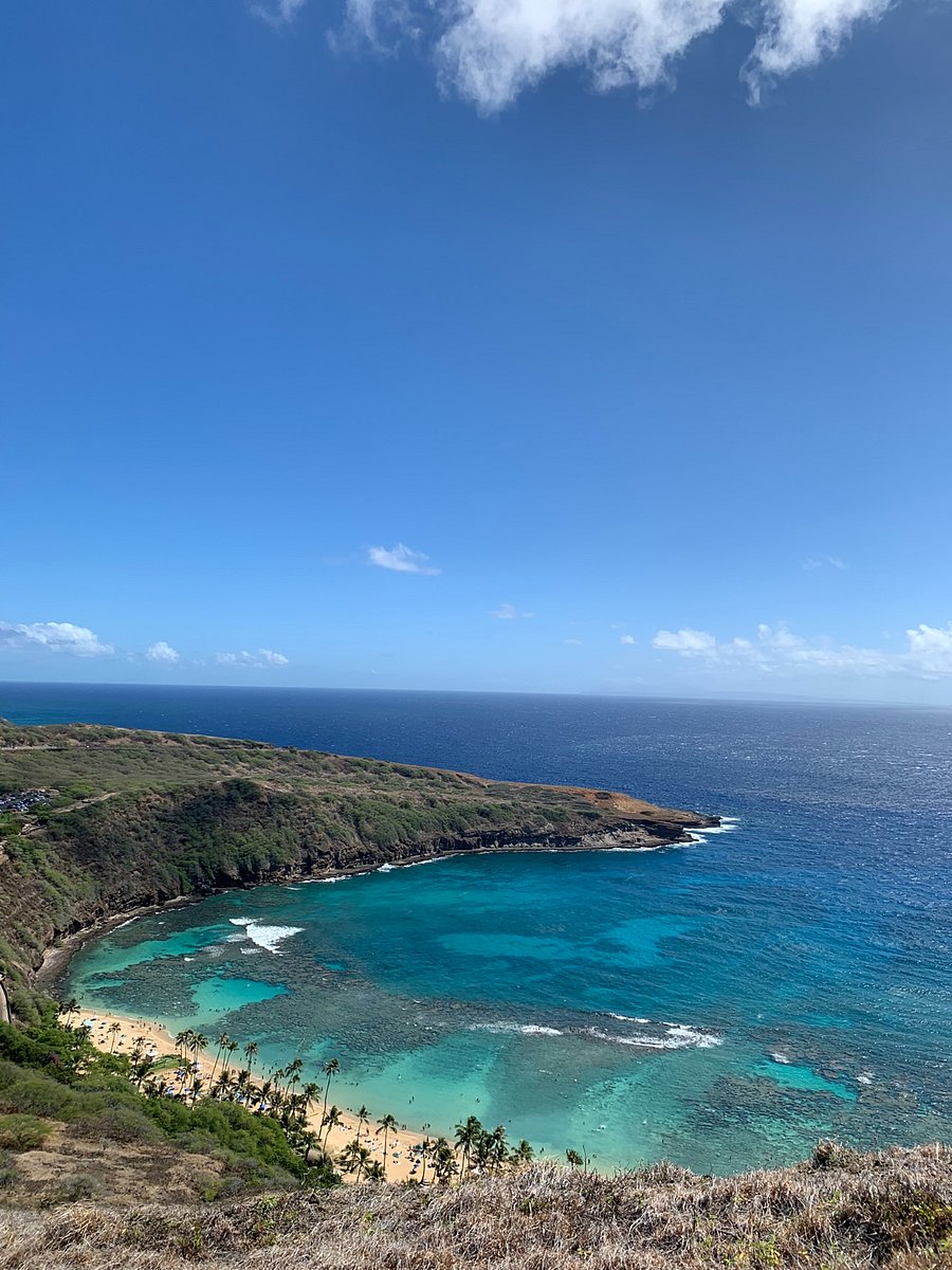 Hanauma Bay State Park Nature Preserve...5 min drive from the property.