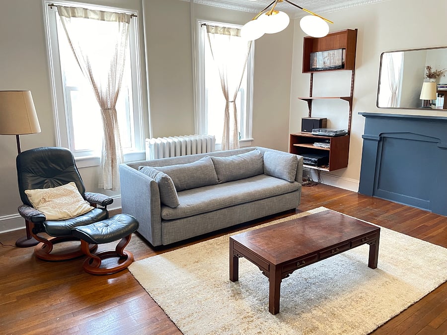 Living Room - Pull out couch