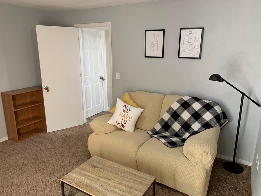 Basement apartment living room