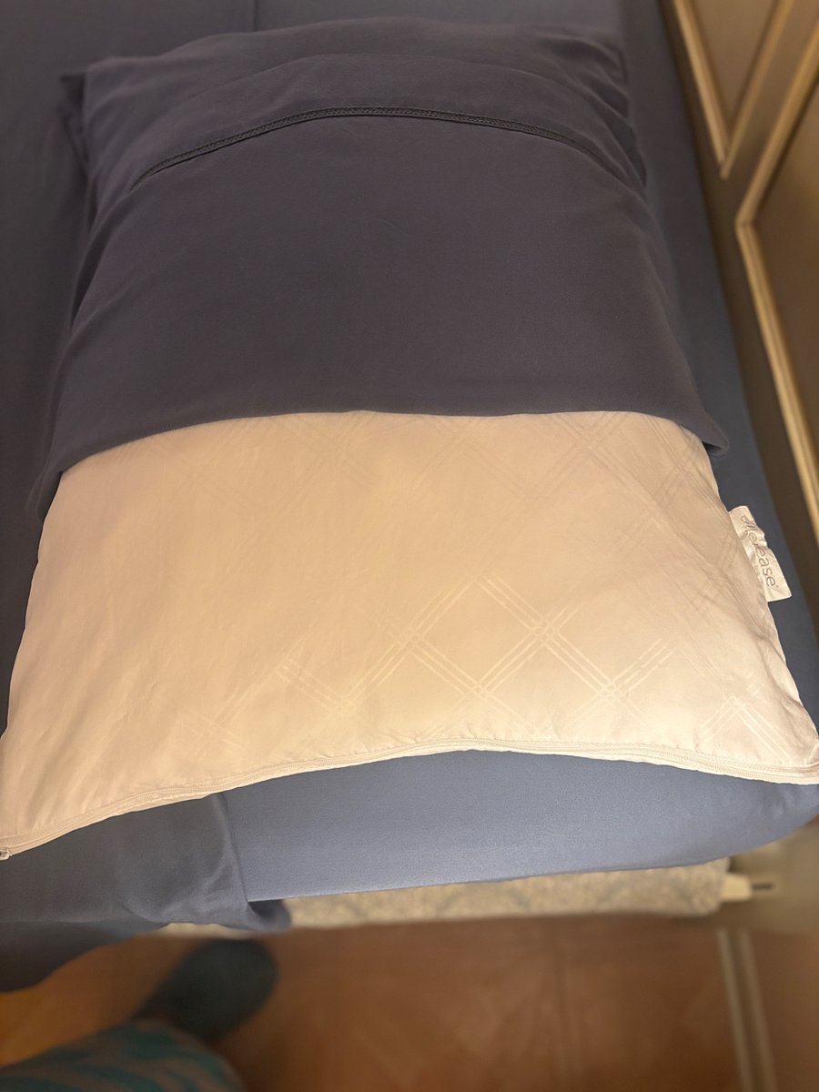 The pillows have pillow protectors  that helps with allergens, temperature balance and dust mites. 