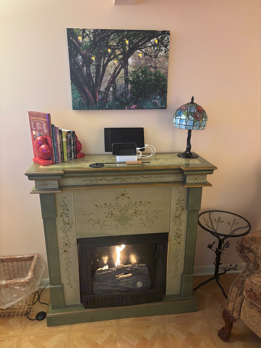Gel fuel fire place while lit. **PLEASE NOTE GUEST WITH CHILDREN OR TEENS will not have the fuel available for use for safety reasons. Thank you for your understanding.