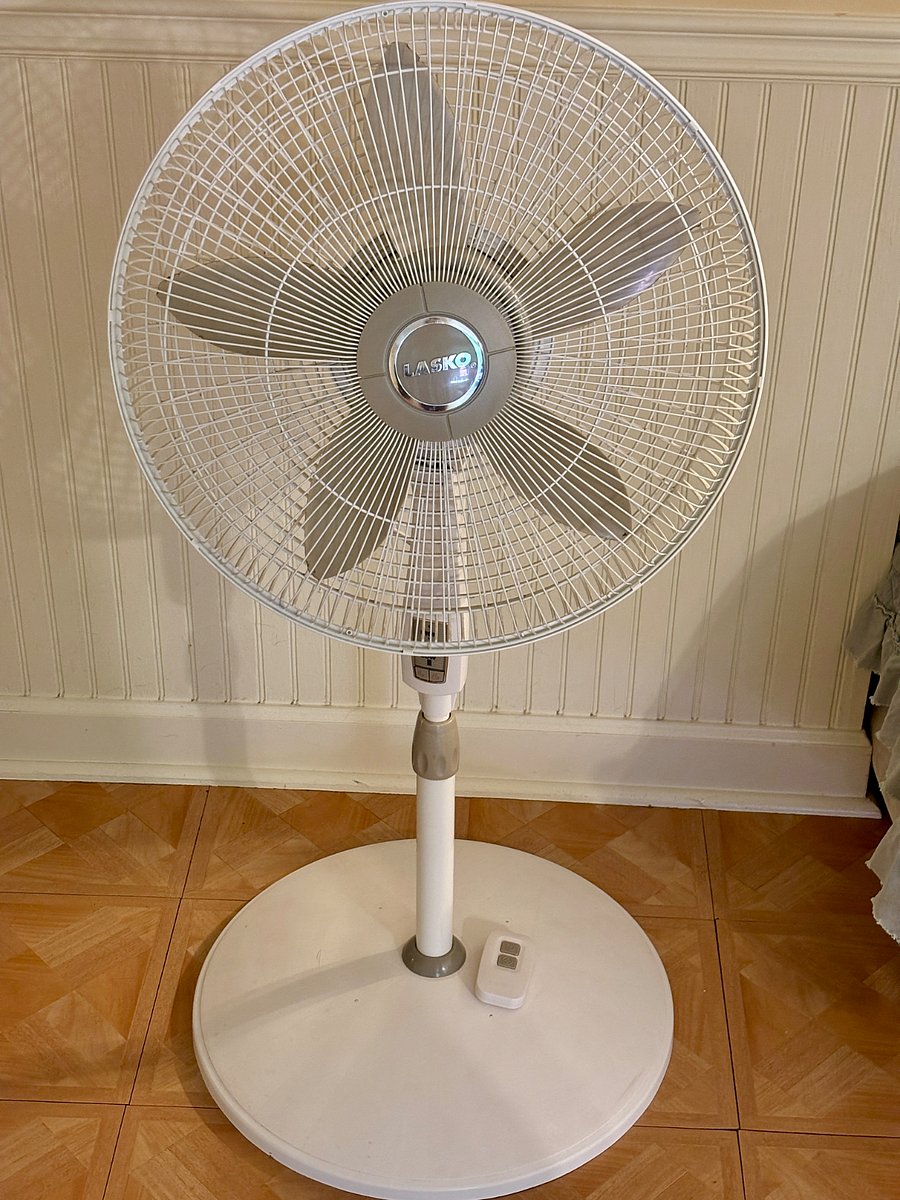 Fan with remote provided.