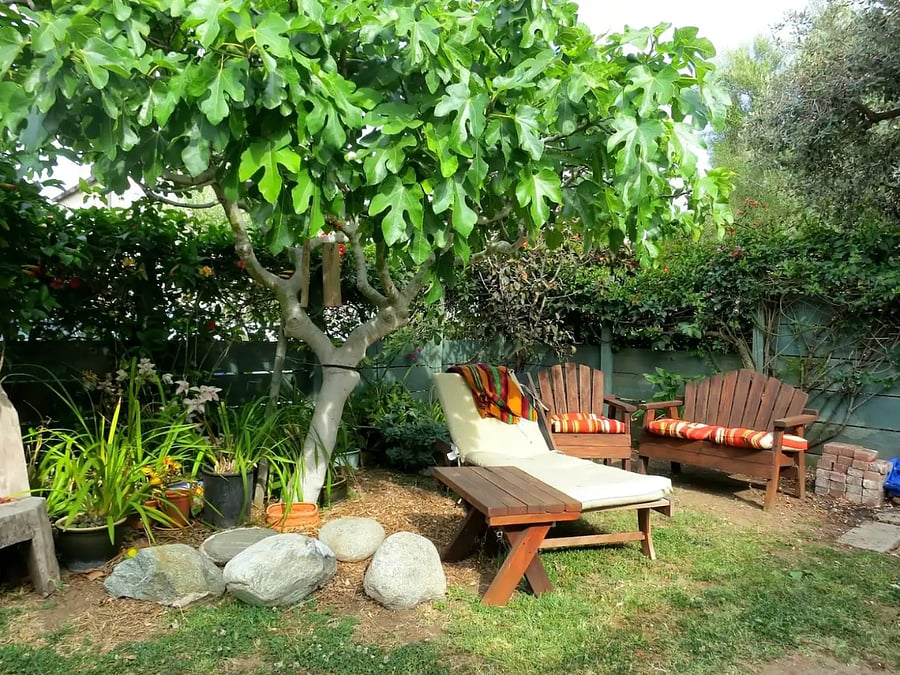 Furnished Finder property 760612_1 photo 22