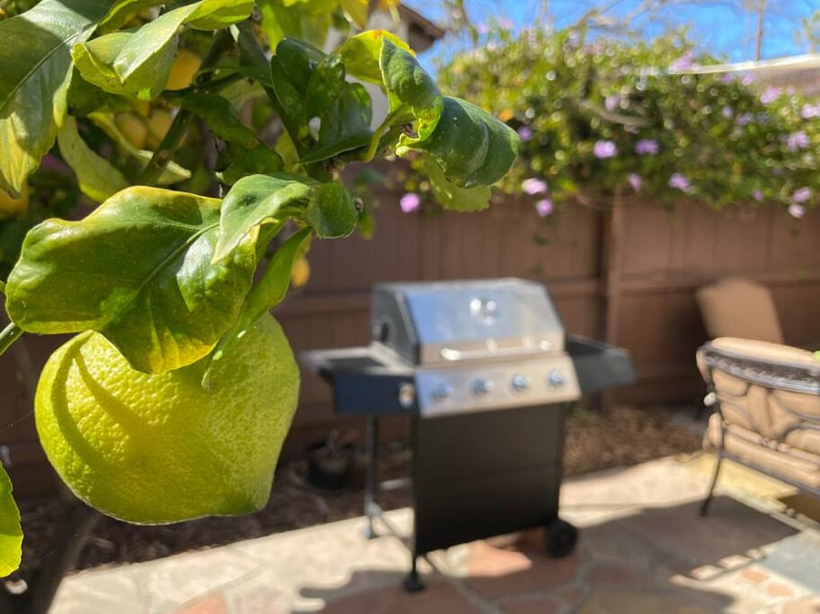 Fresh lemons and grill.