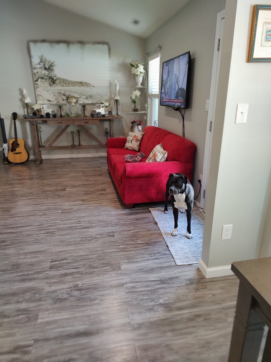 Furnished Finder property 761103_1 photo 3