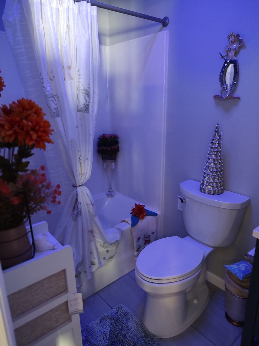 Furnished Finder property 761103_1 photo 13