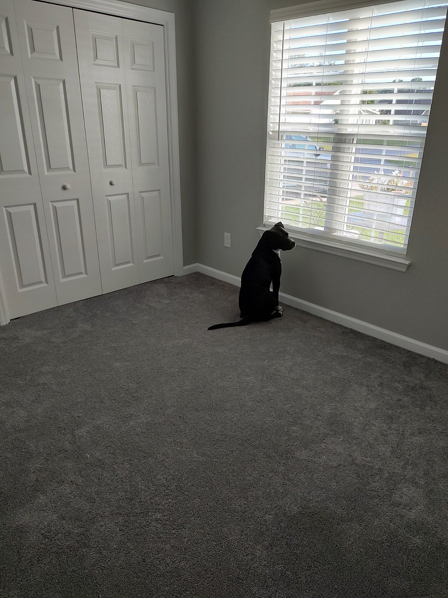 Furnished Finder property 761103_1 photo 14