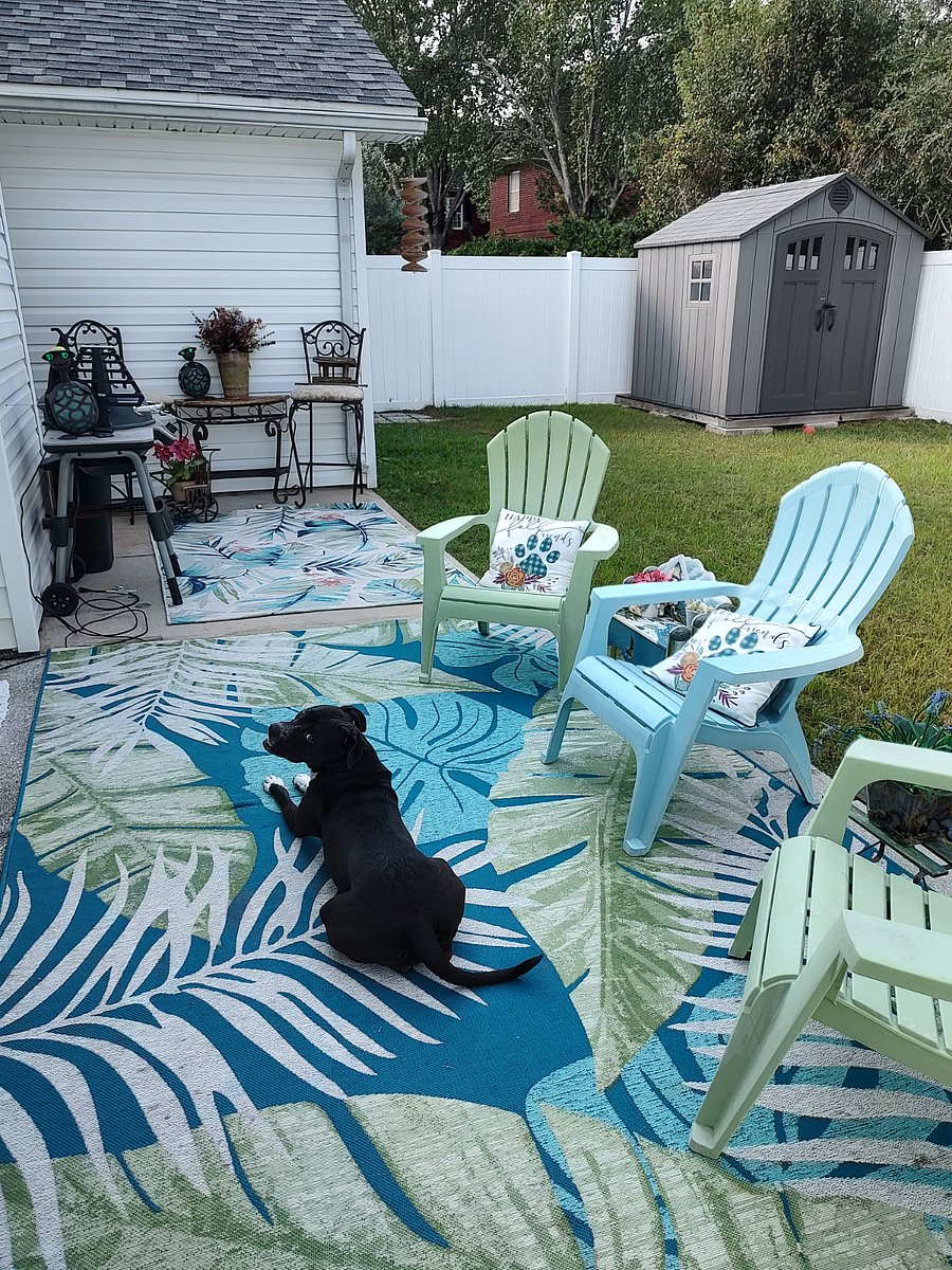 Furnished Finder property 761103_1 photo 16