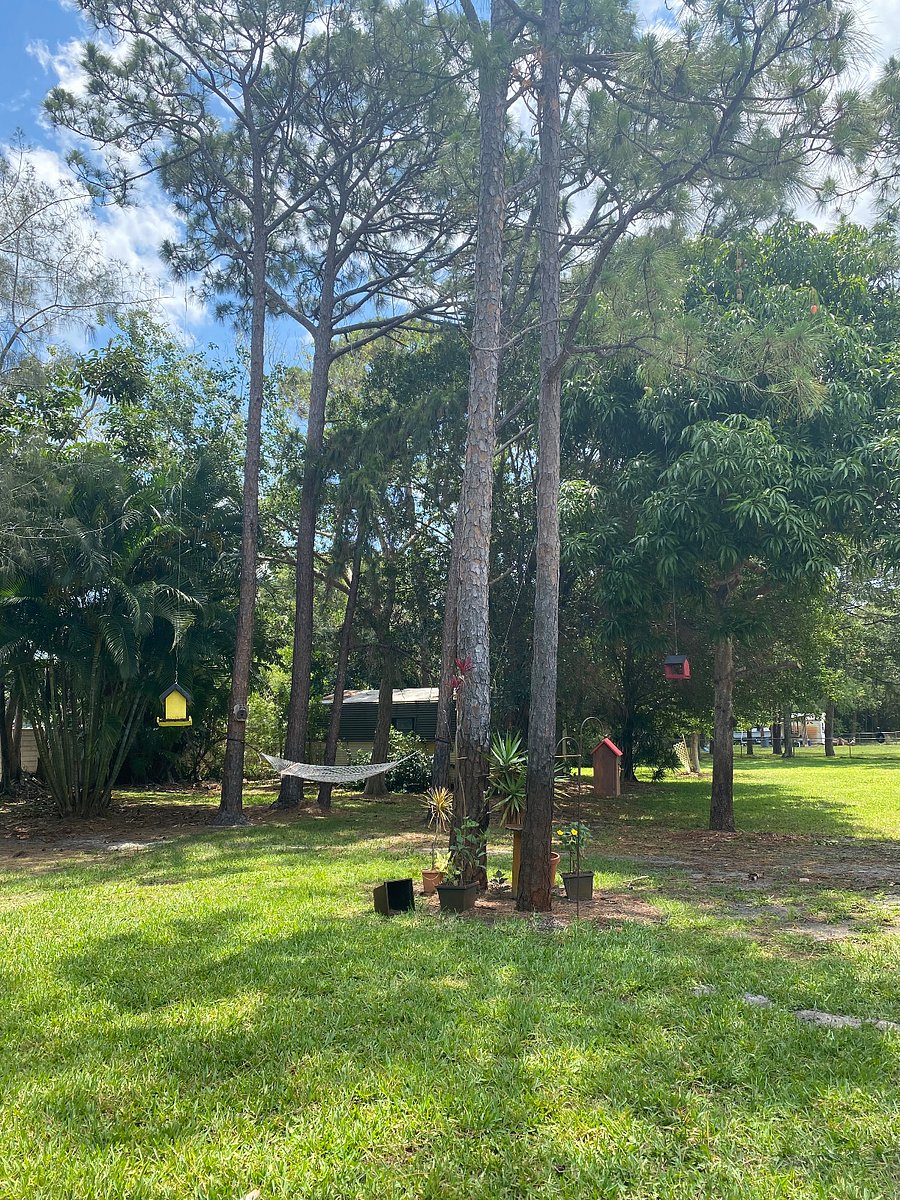 Furnished Finder property 761177_1 photo 9