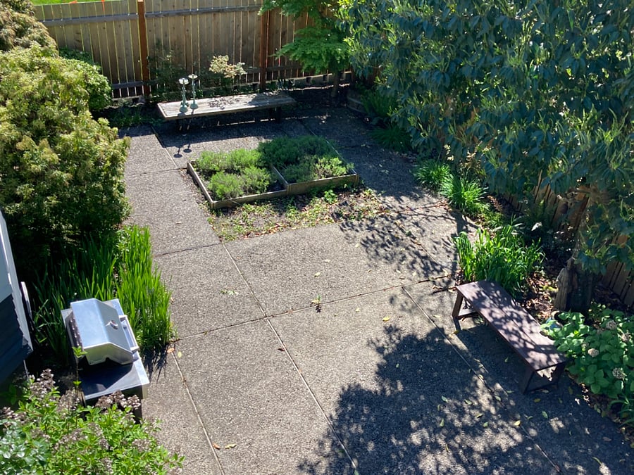 Back garden