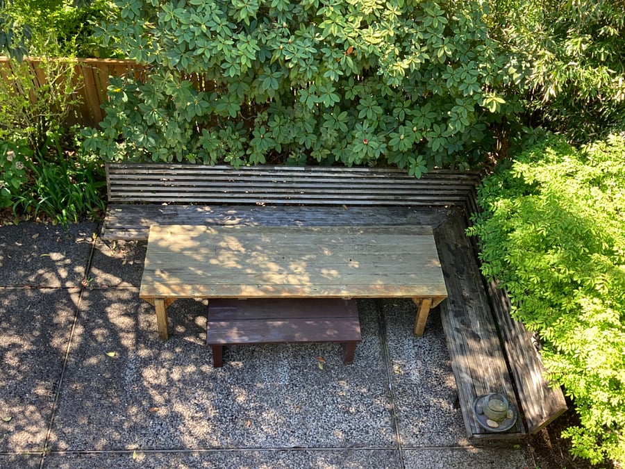 Back garden