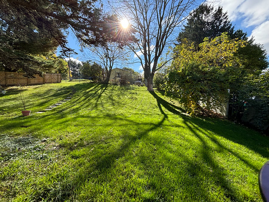 Backyard looking South