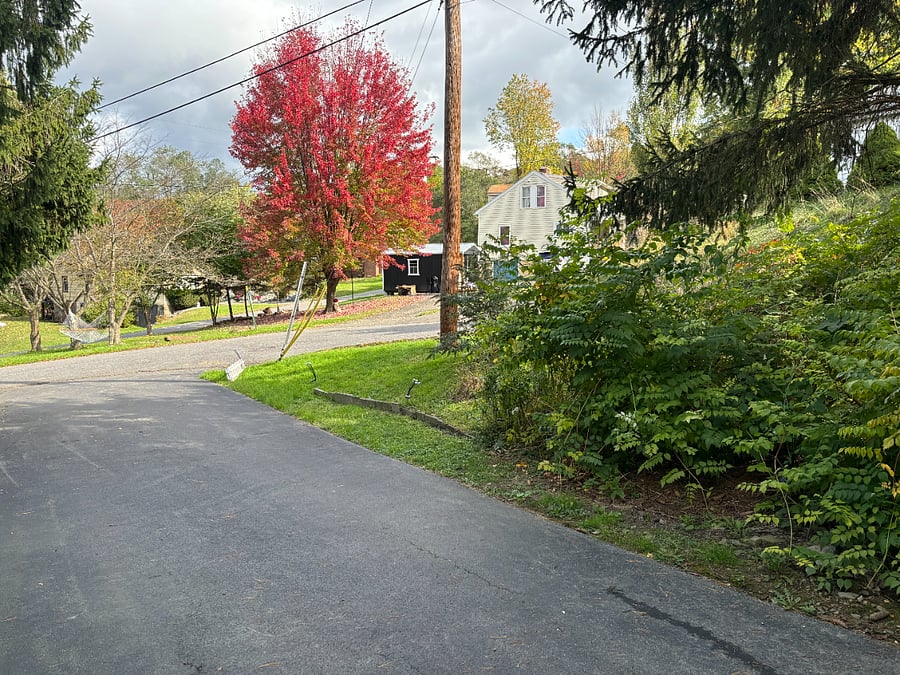 Driveway looking north