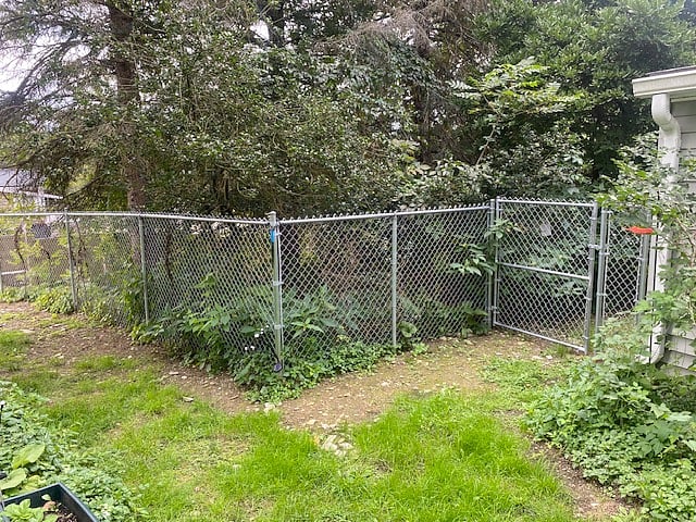 Fencing on northwest area looking into the "cave" where the wildlife is very active at night