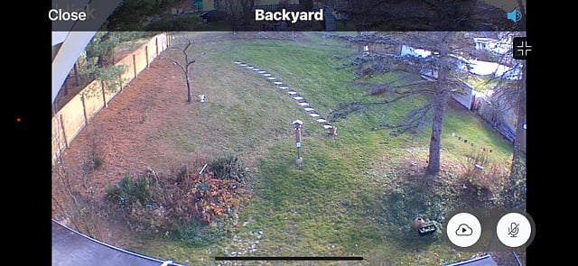 Blink security camera view