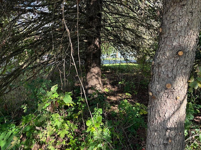 The cave where the nocturnal wildlife hang out 