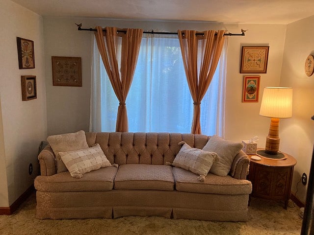 Parlor with antique sofa. If you have young kids or pets, please use couch covers provided. 