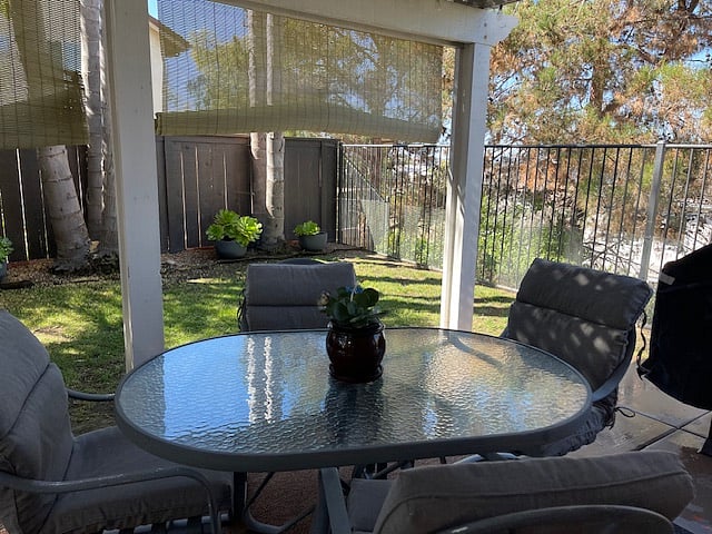 back yard