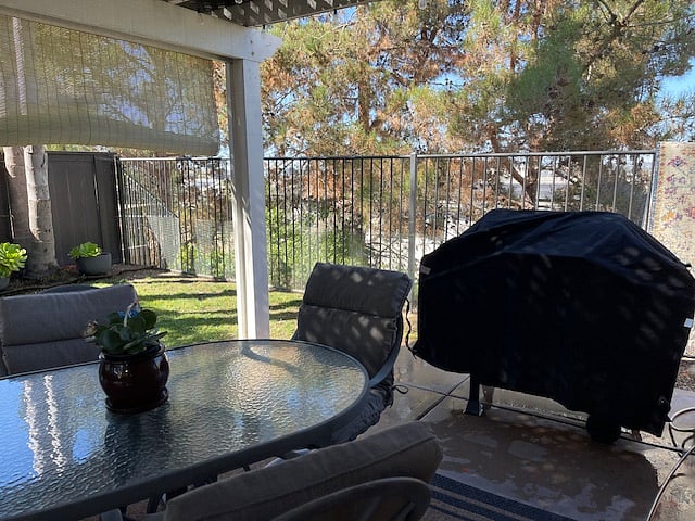 Back yard & BBQ