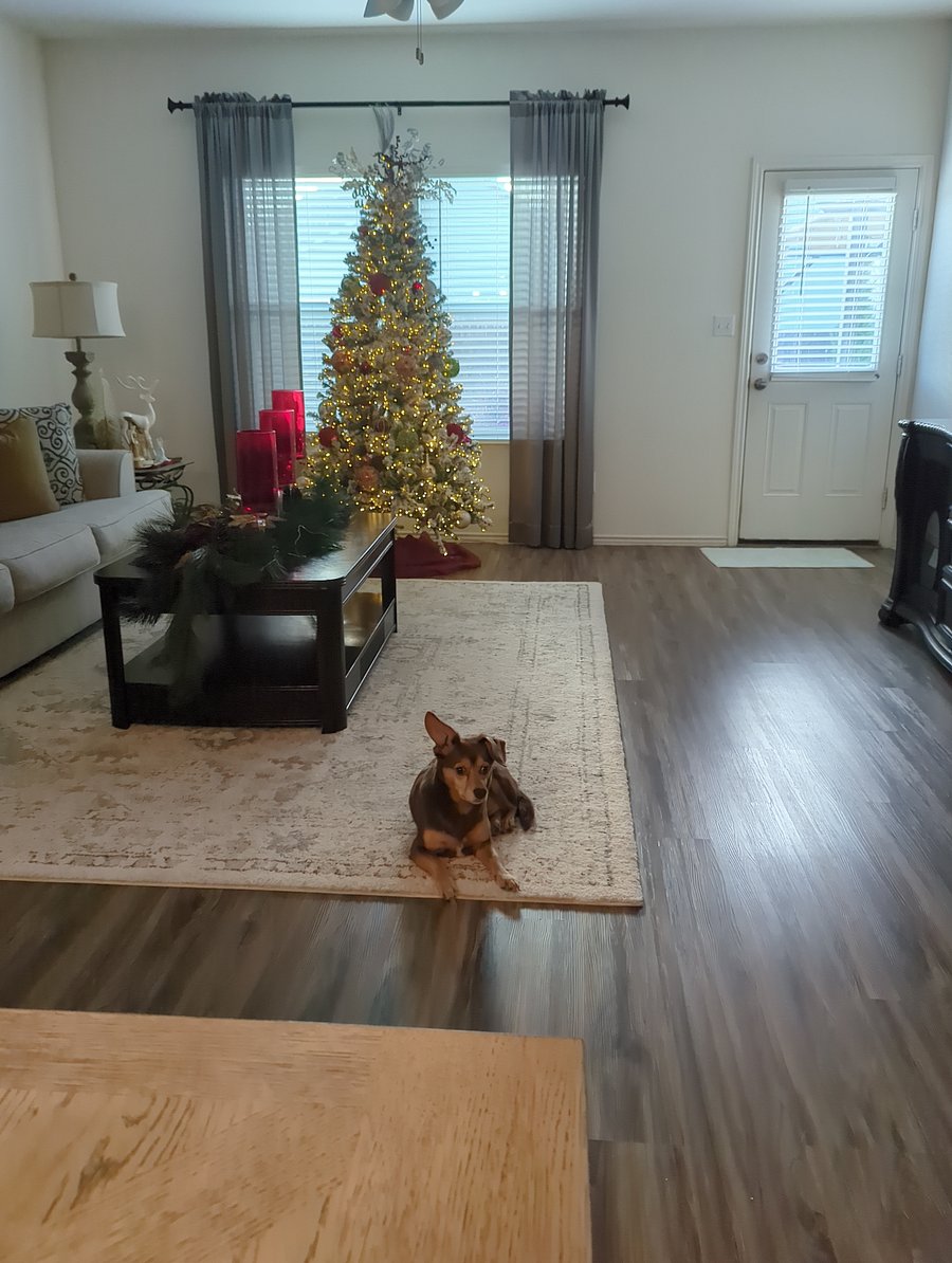 Furnished Finder property 761842_1 photo 10