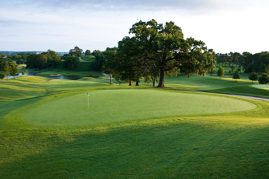 Highland Golf course. No, you are not in Scotland - but you can pretend!