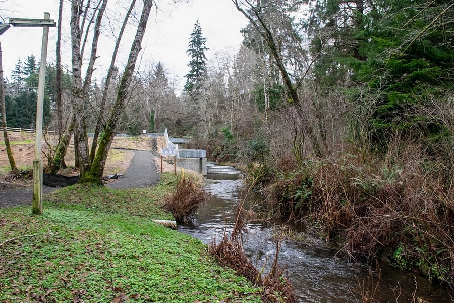 The dam at Mill Creek Park. Just a nice walk away. Baby salmon are now swimming up the fish ladder.