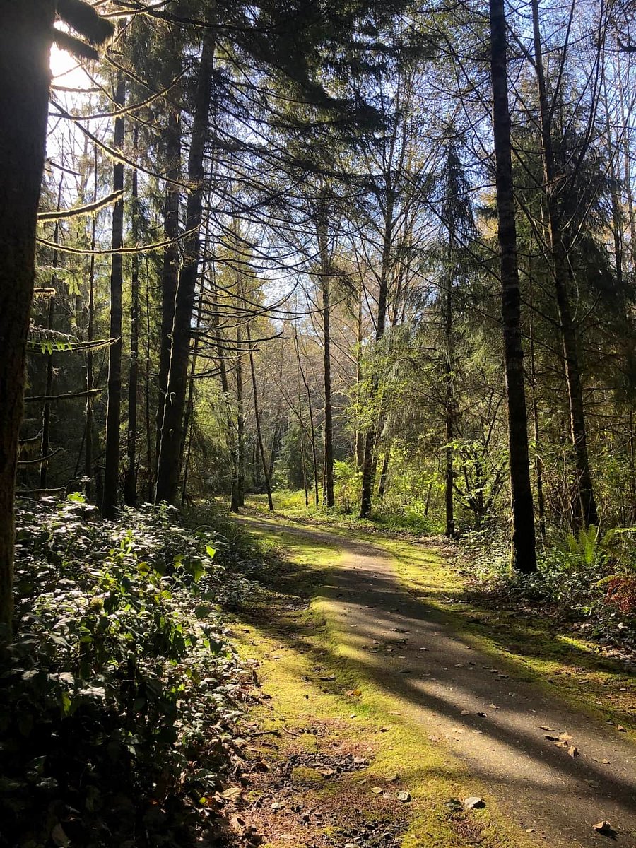 Walking trail in Makarenko Park.