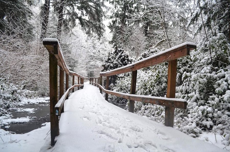 A rare snowy day!