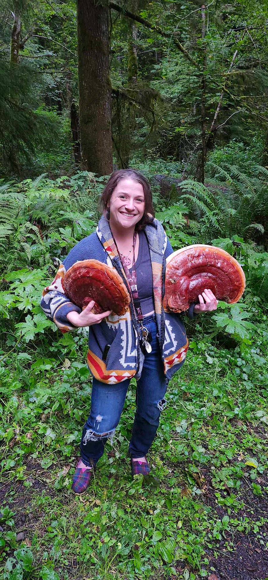 Turkey Tail Mushroom. Want to go hunting with her? We have a mini-rain forest in our nature park. Bring your boots is it's the rainy season. She is certified and has written a book on them.