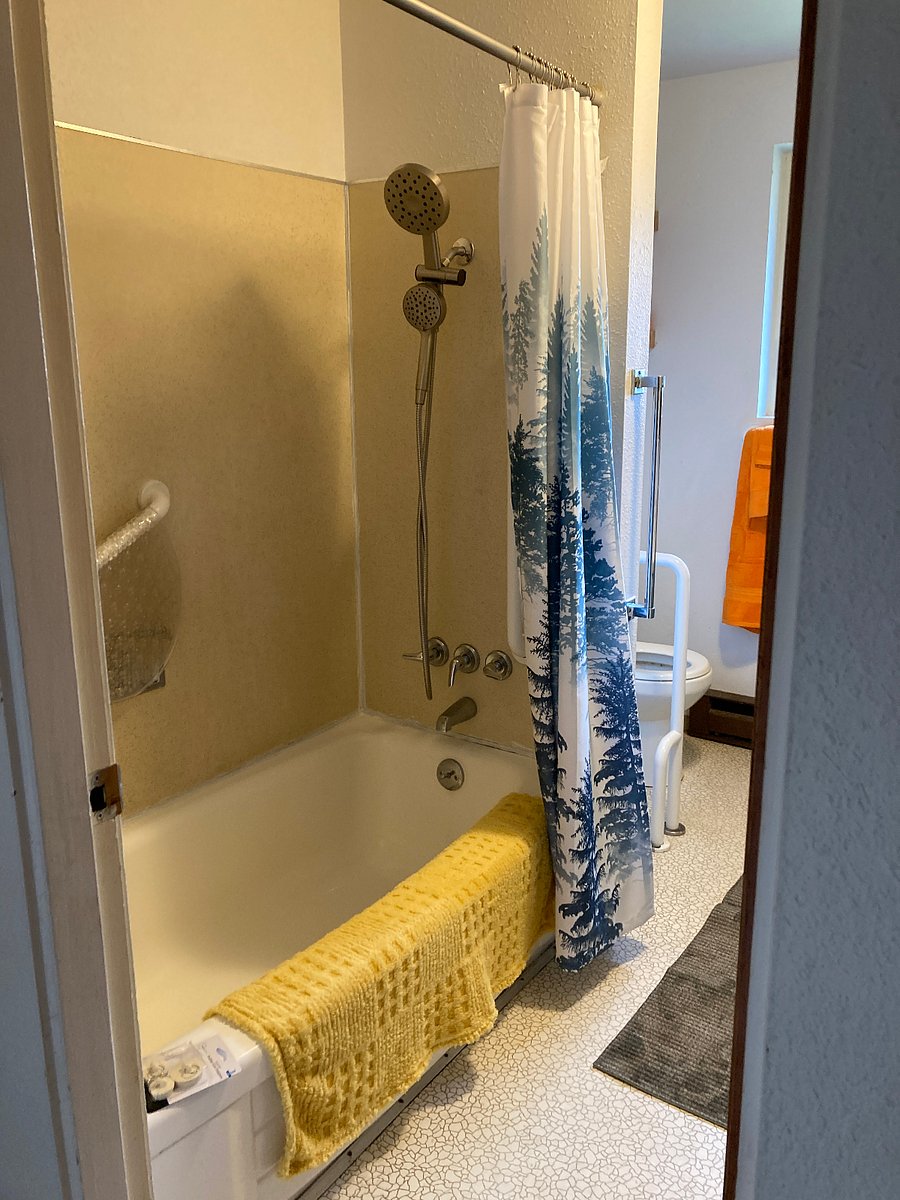 Shower over tub and comode.