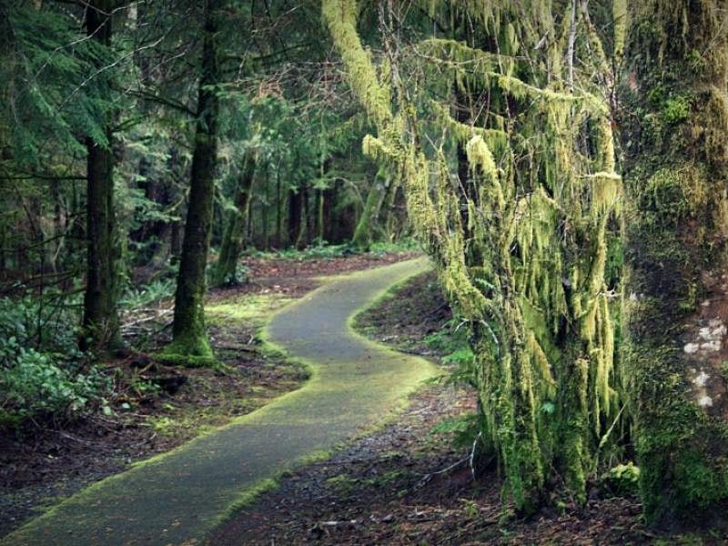 Makarenko Park trail. Just down the road!