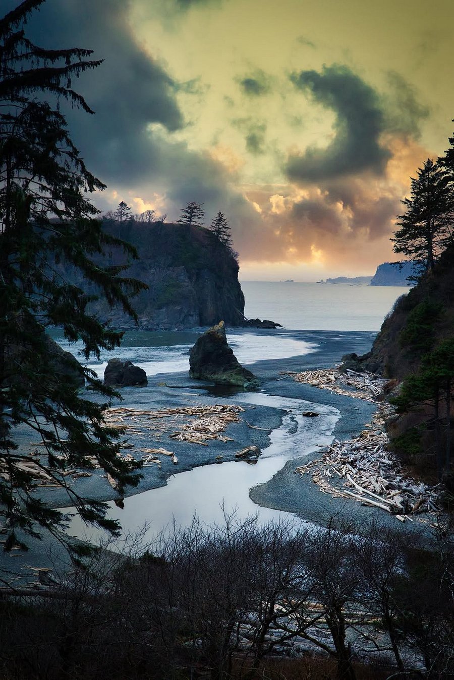 Ruby Beach on the way to Olympic National Park. Voted Best Beach in America !