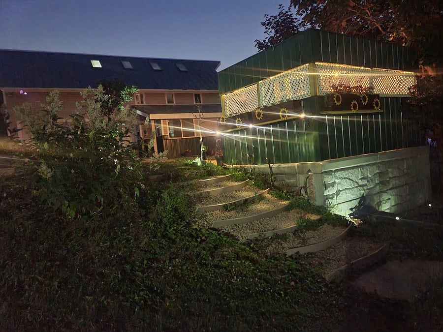 Stairs to kennel