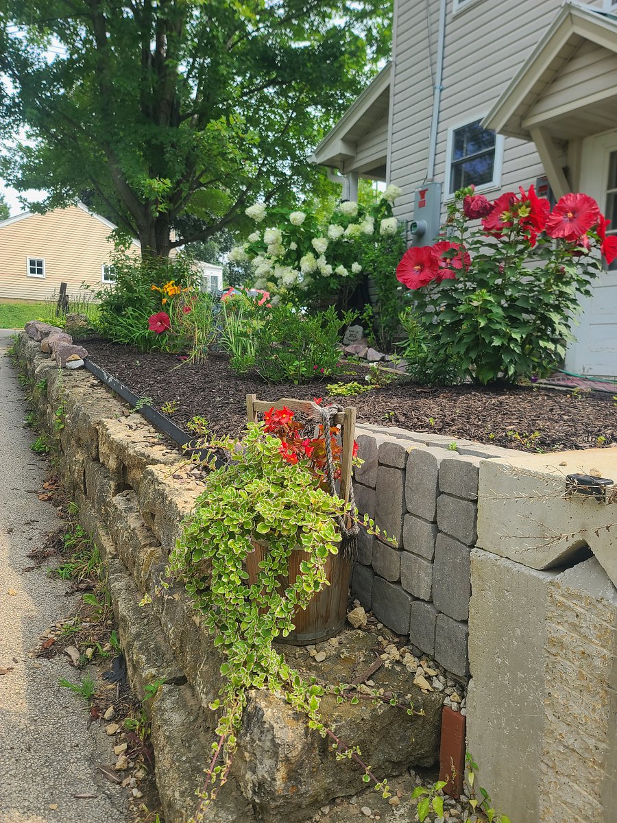Surrounding area vegetation