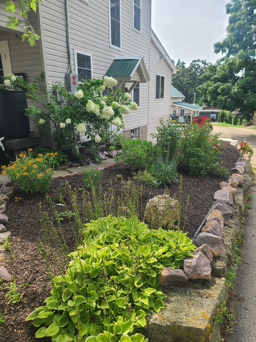 Surrounding area vegetation