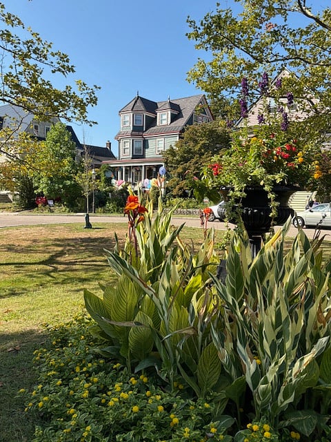 Ornamental Park w view of home