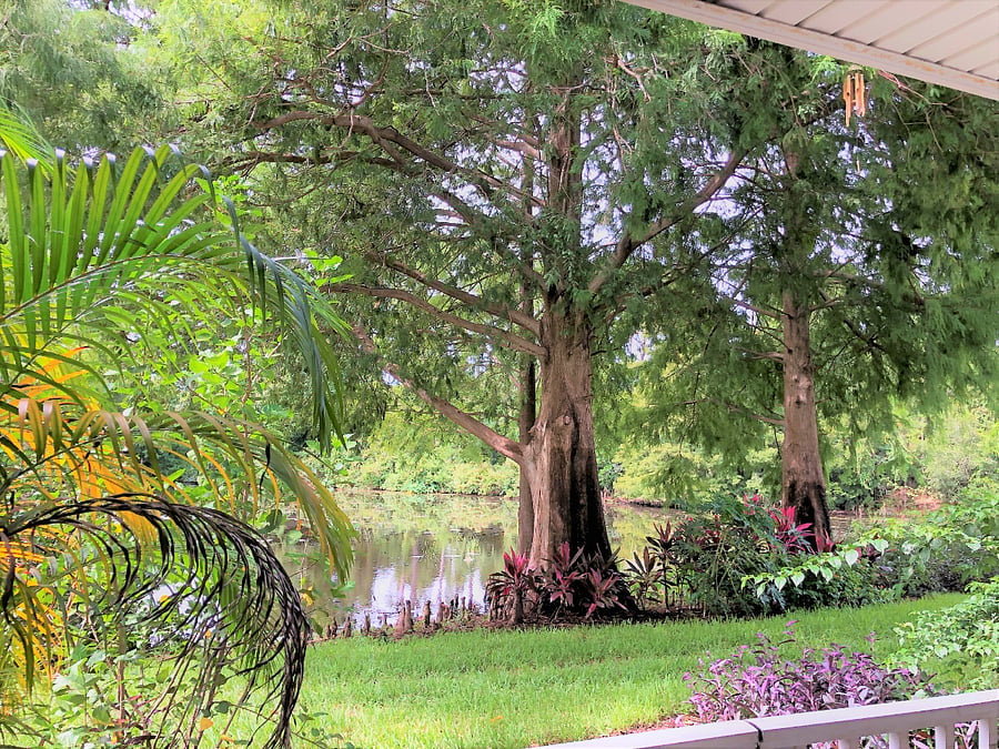 Furnished Finder property 762254_1 photo 11